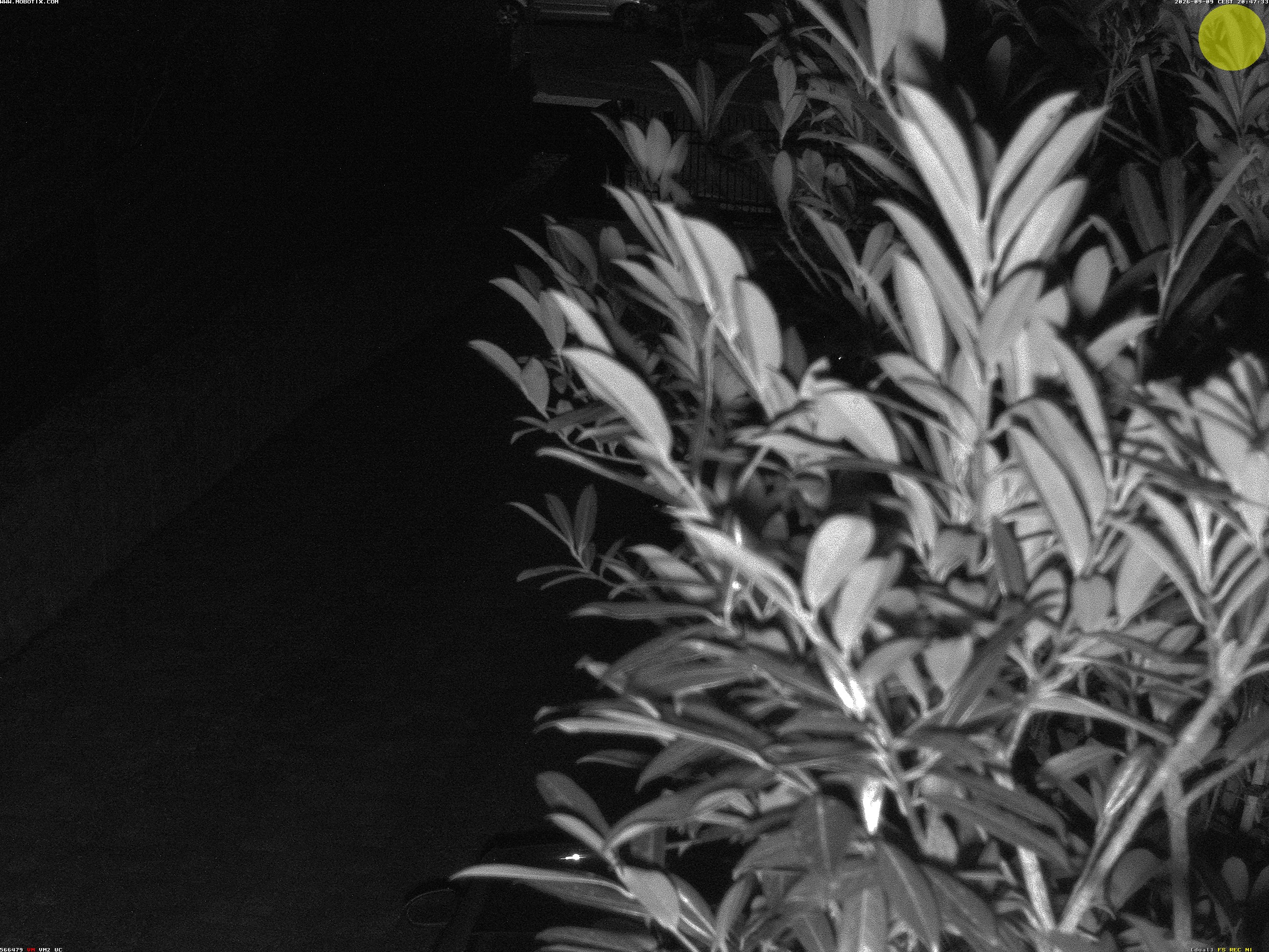 Camera localcam:Ereignisbild Nr. 3