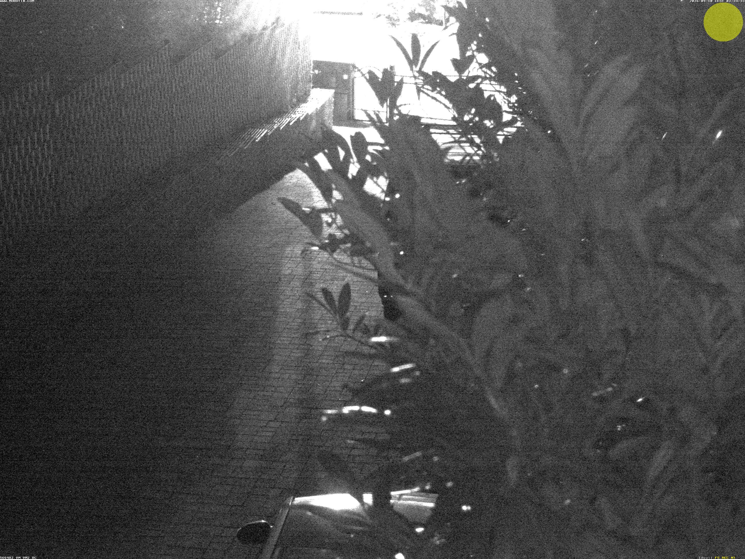 Camera localcam: Live Image.